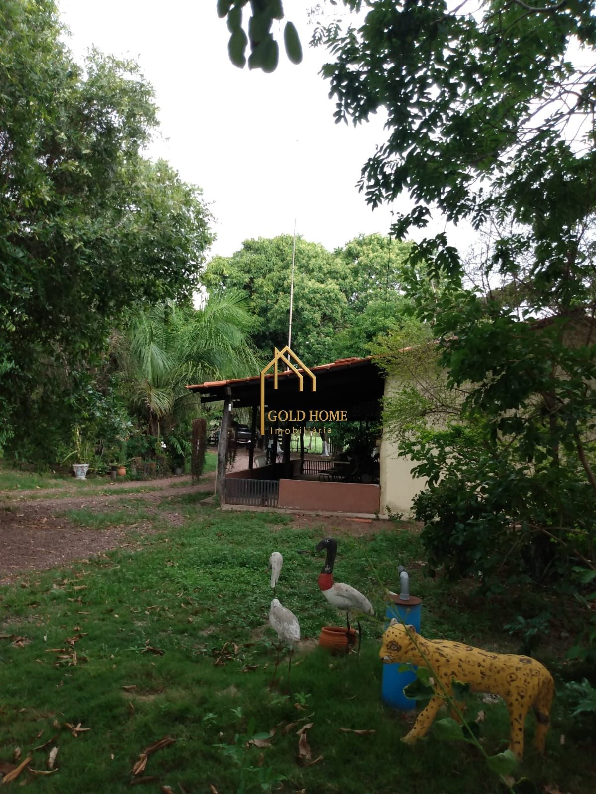 Fazenda, 100 hectares - Foto 3