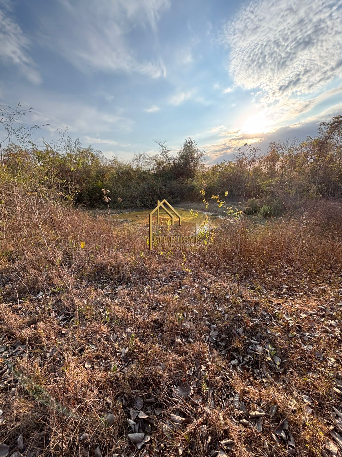 Chácara, 4 quartos, 2 hectares - Foto 5