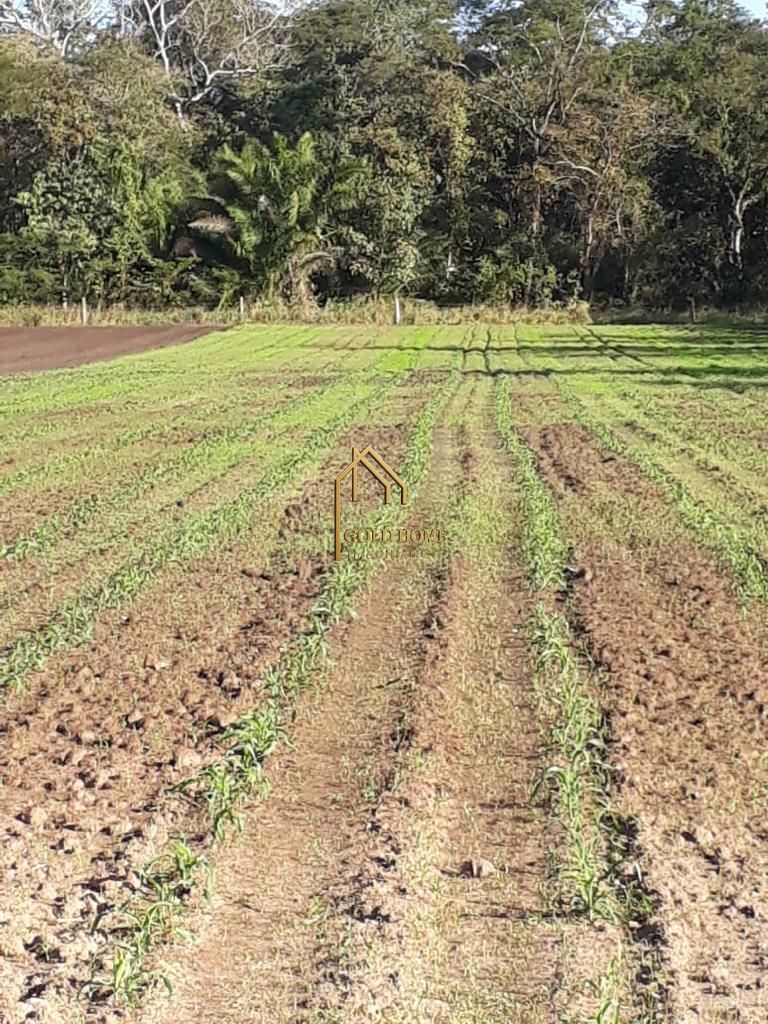 Sítio, 2 quartos, 10 hectares - Foto 44