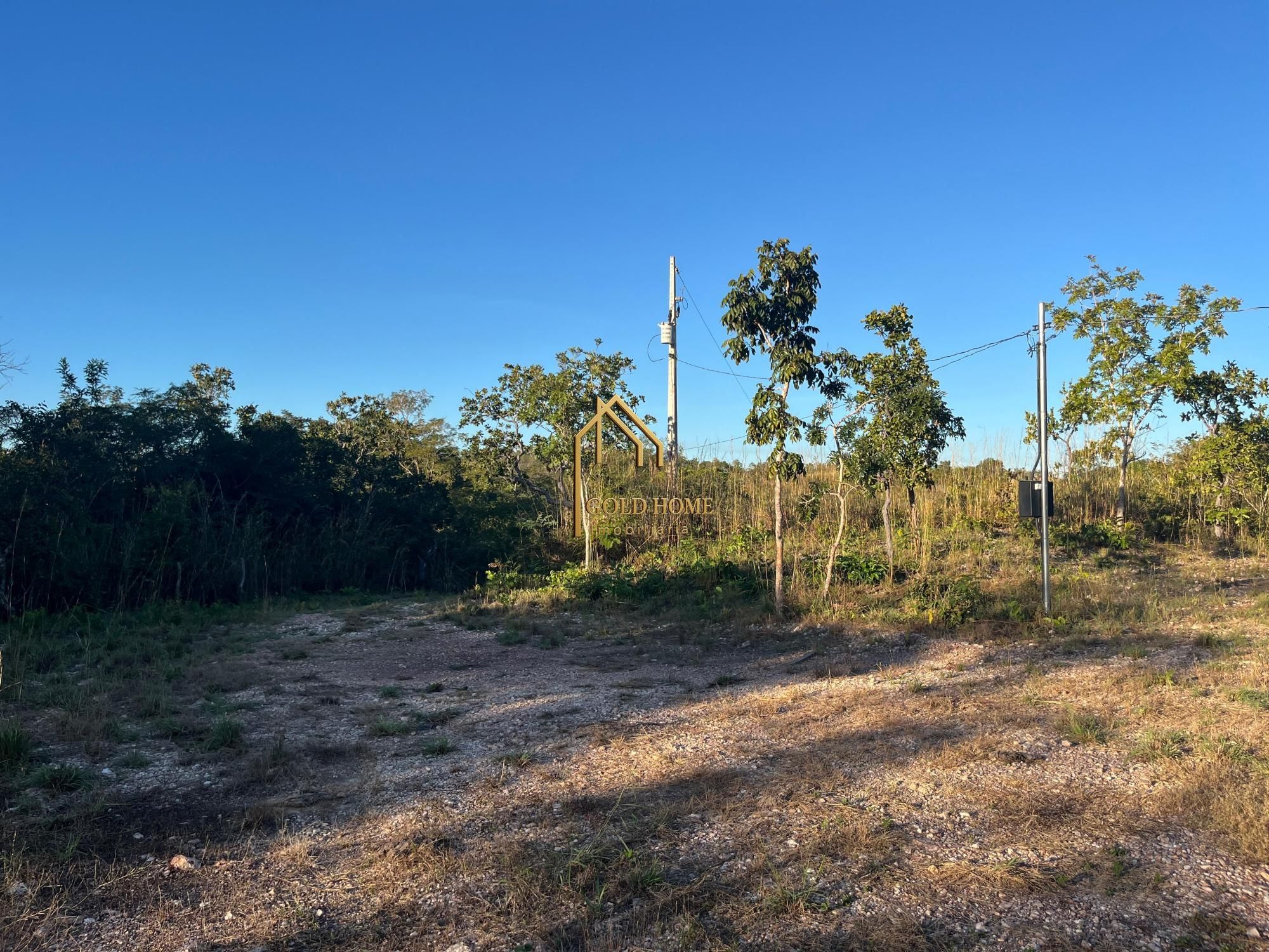 Chácara, 4 quartos, 1 hectares - Foto 3