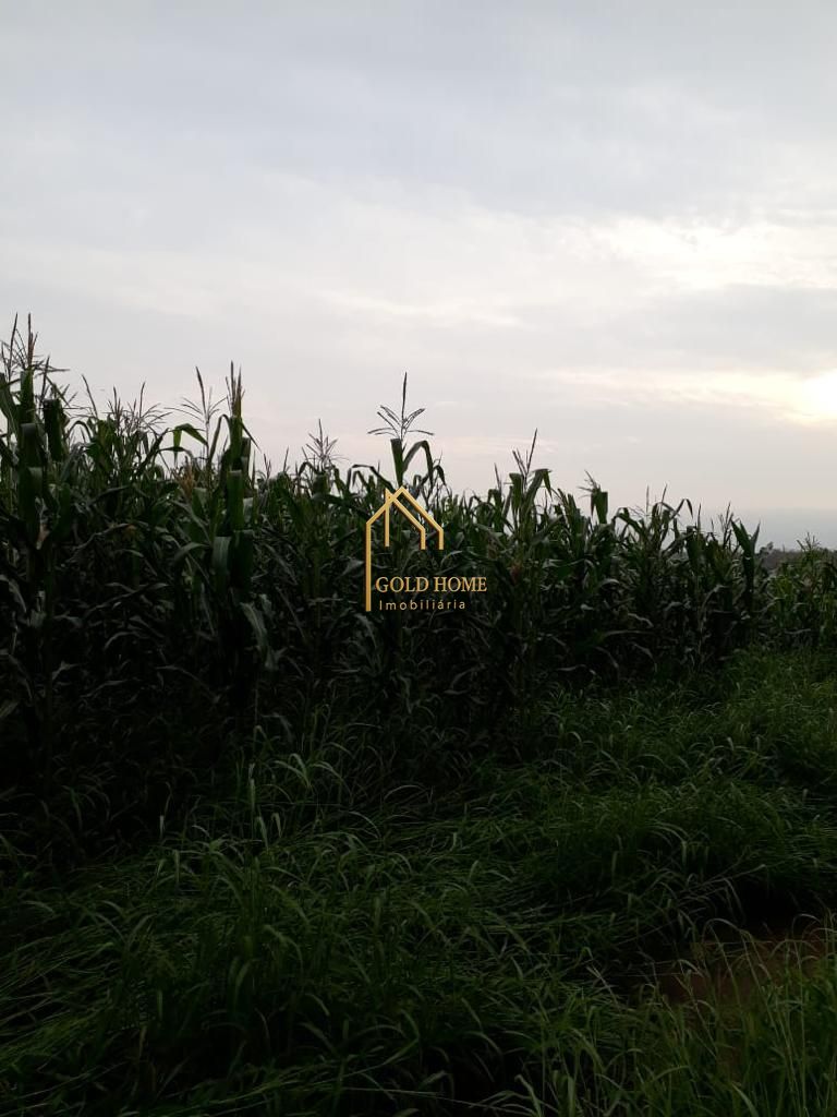 Sítio, 2 quartos, 10 hectares - Foto 26