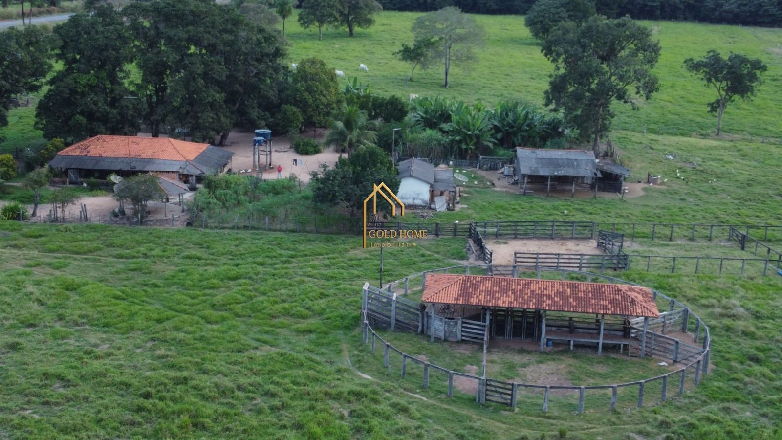 Fazenda-Sítio-Chácara, 113 hectares - Foto 2