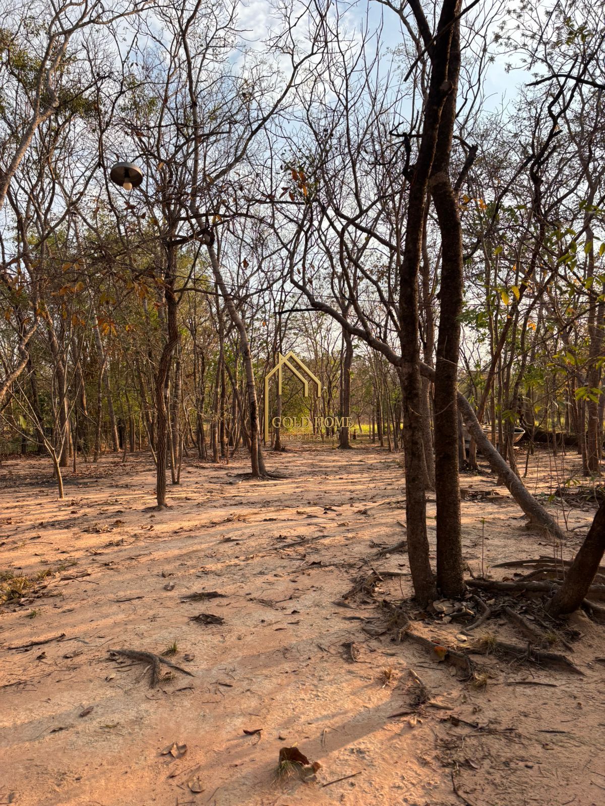 Chácara, 4 quartos, 2 hectares - Foto 7