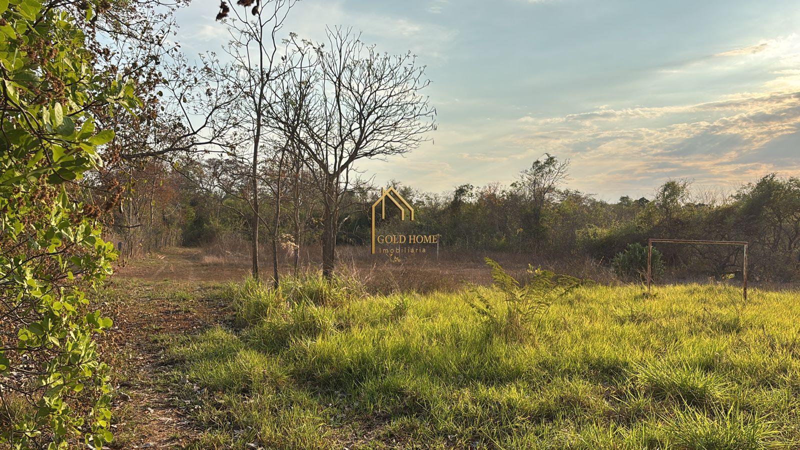 Chácara, 4 quartos, 2 hectares - Foto 9