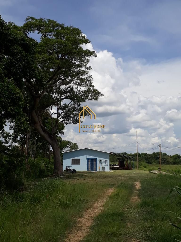 Sítio, 2 quartos, 10 hectares - Foto 19