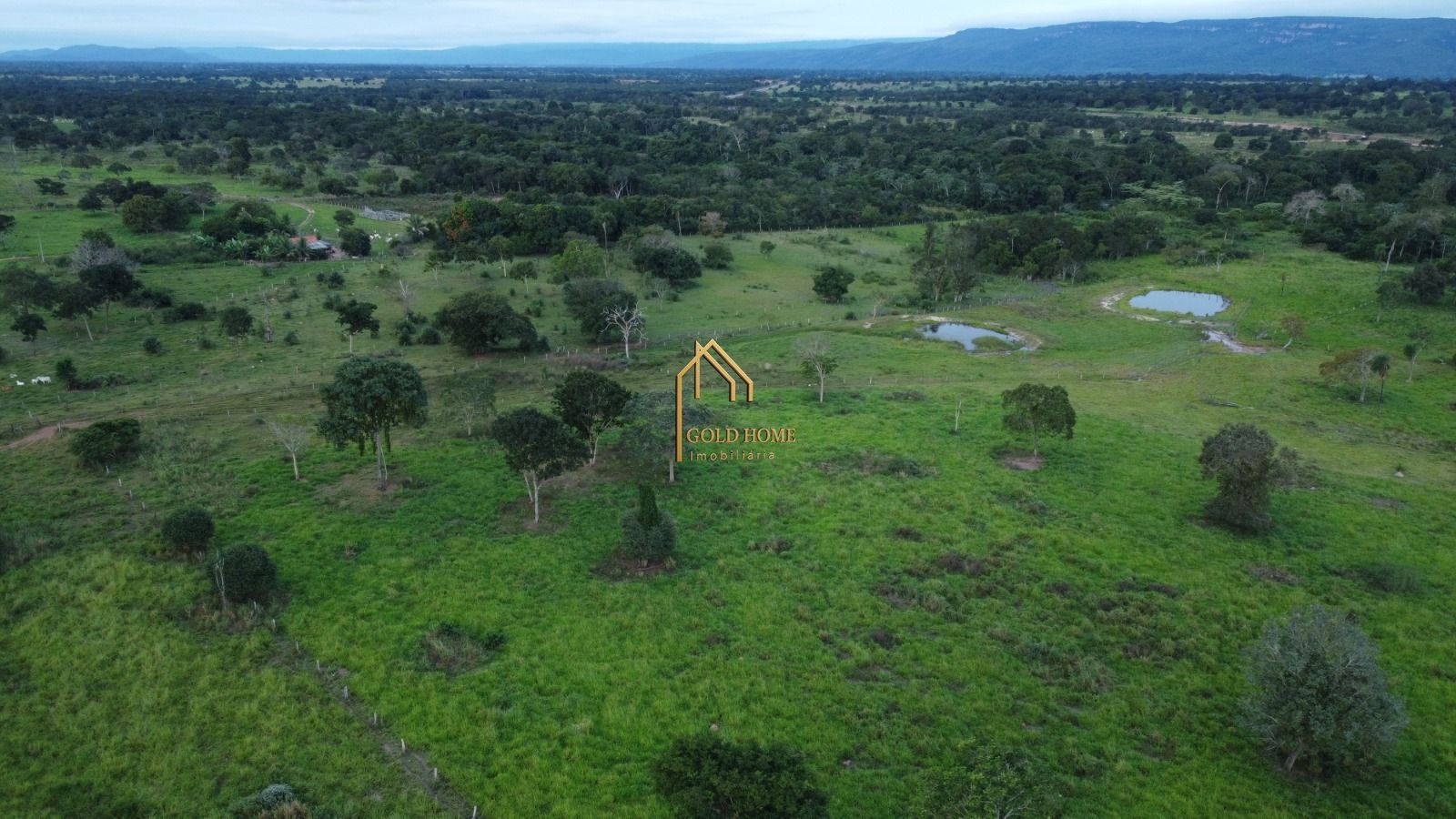 Fazenda-Sítio-Chácara, 113 hectares - Foto 3