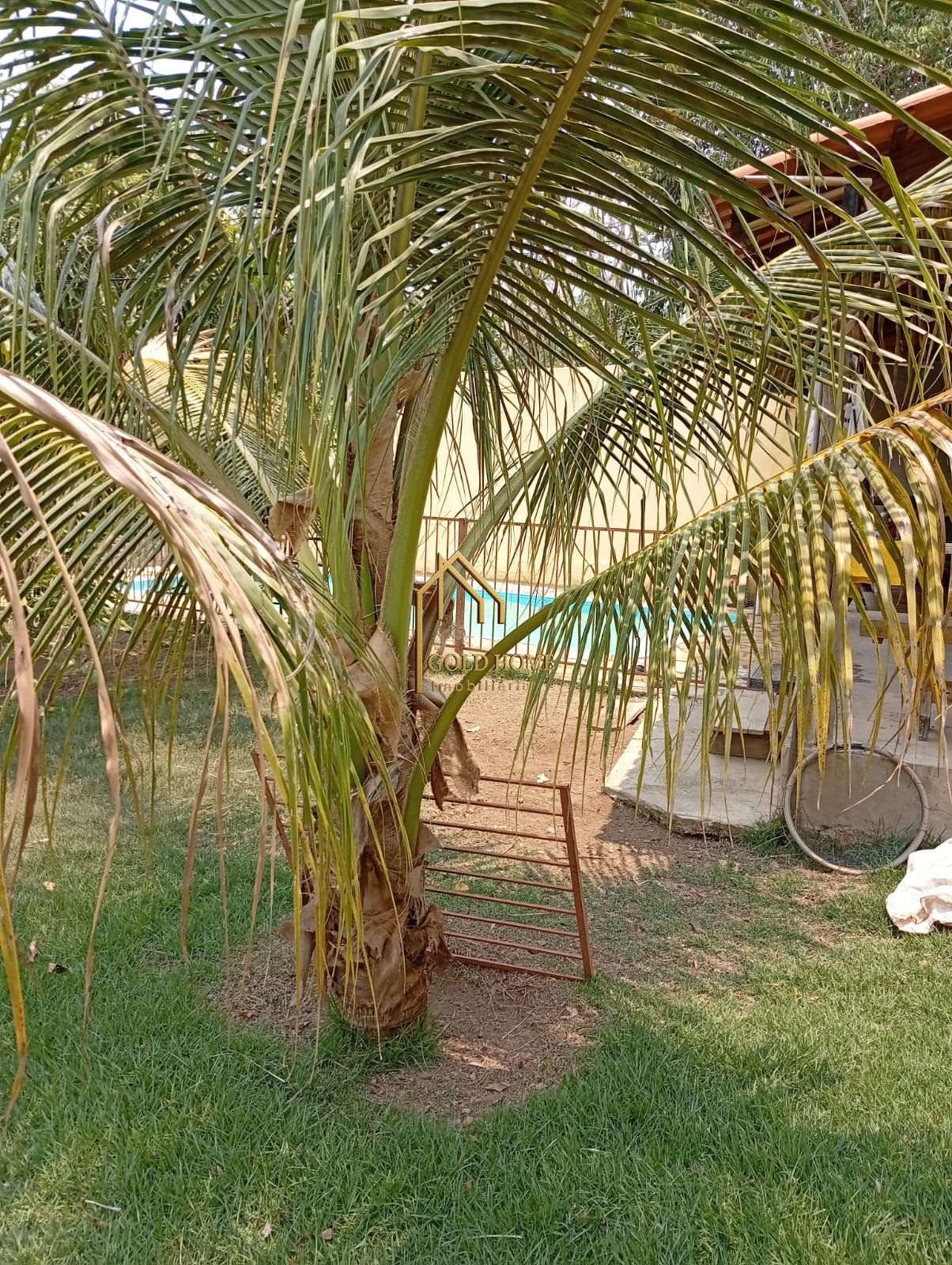 Chácara, 4 quartos, 5000 m² - Foto 43