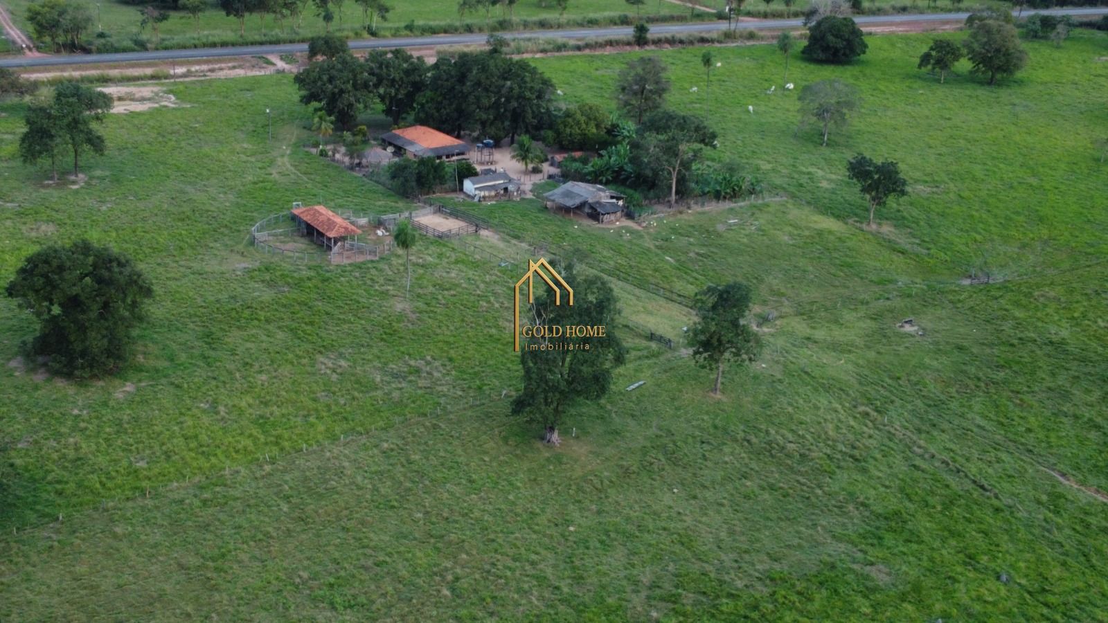 Fazenda-Sítio-Chácara, 113 hectares - Foto 5