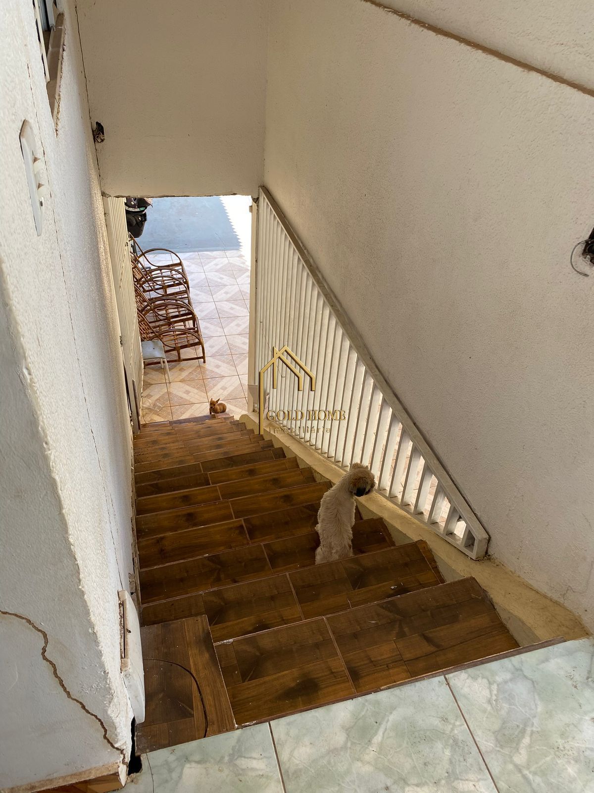 Casa, 4 quartos, 300 m² - Foto 5