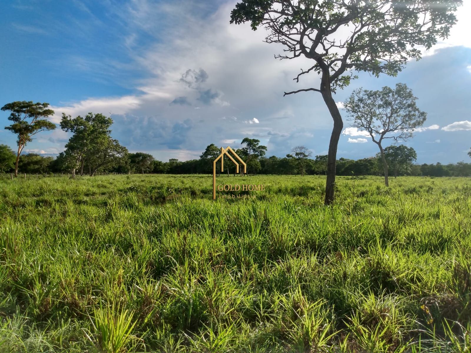 Fazenda, 100 hectares - Foto 8