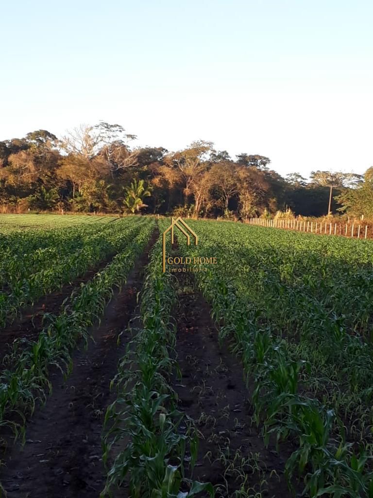 Sítio, 2 quartos, 10 hectares - Foto 36