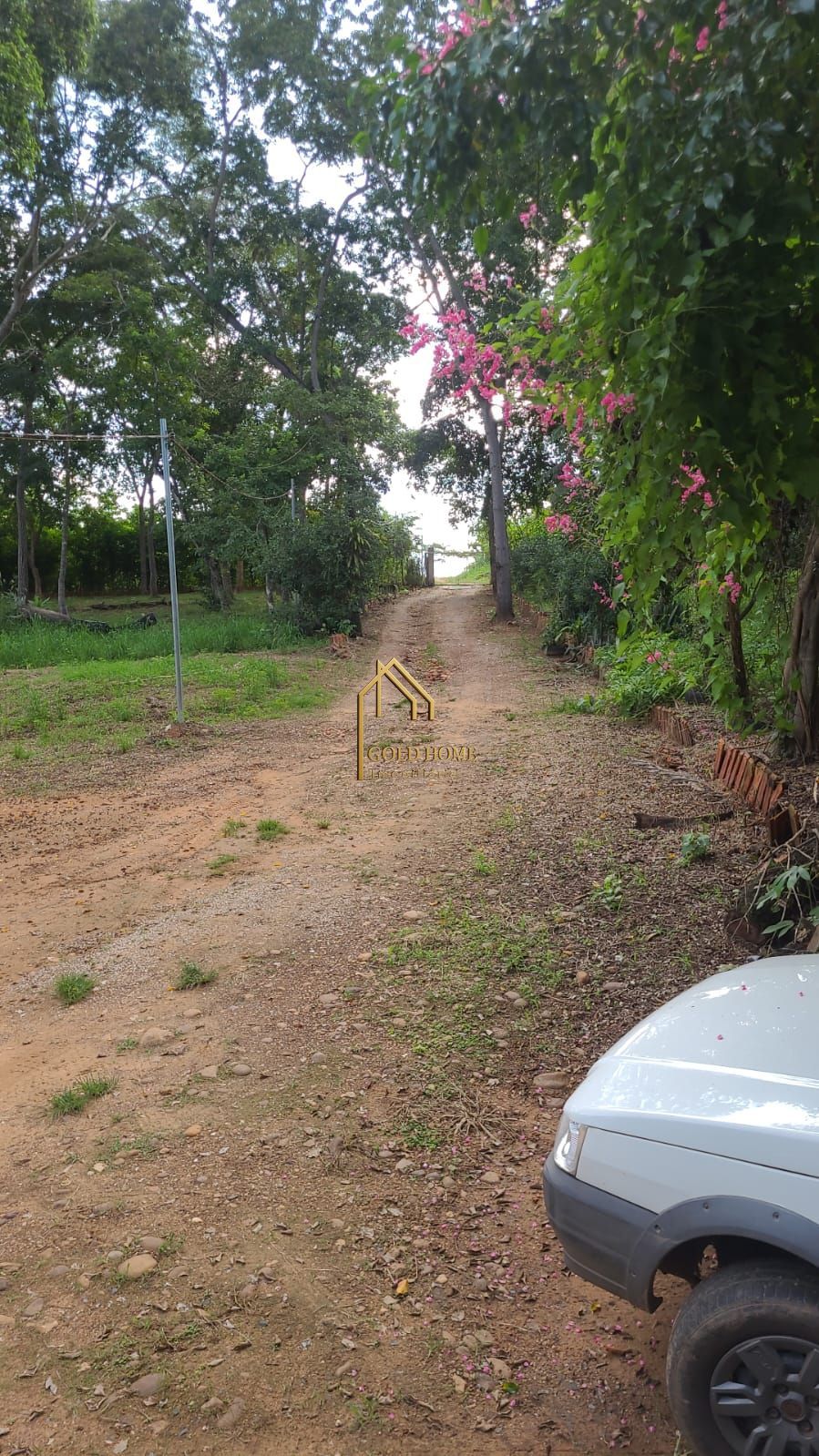 Sítio, 3 quartos, 2 hectares - Foto 14