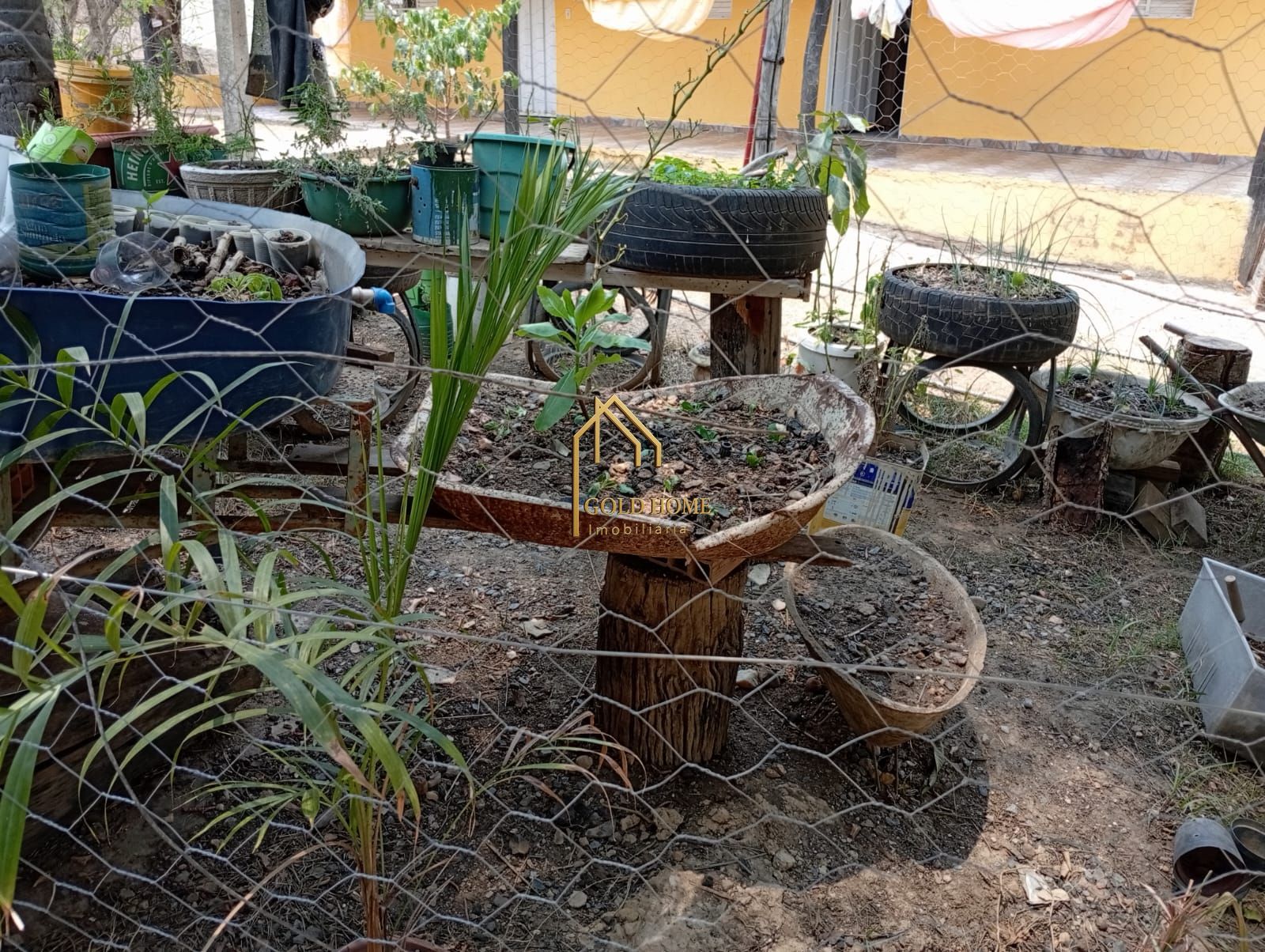 Chácara, 4 quartos, 5000 m² - Foto 10