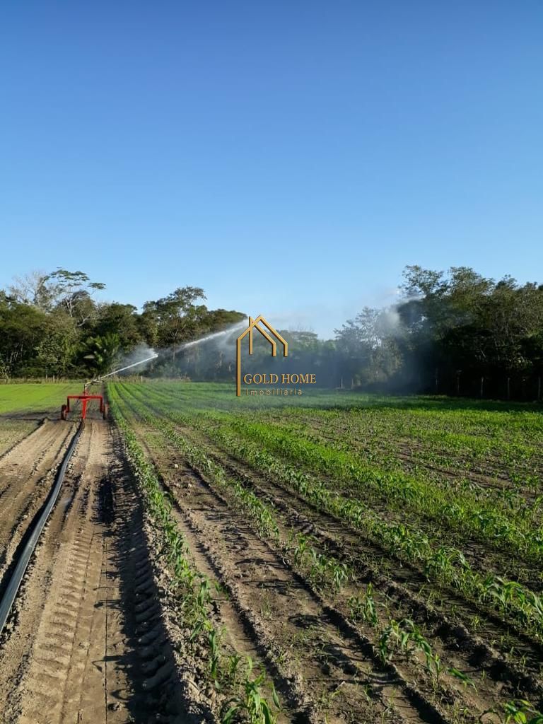 Sítio, 2 quartos, 10 hectares - Foto 39