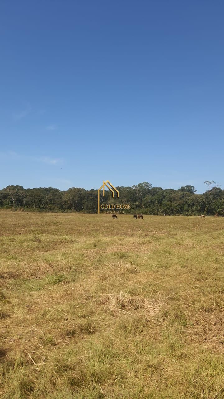 Sítio, 2 quartos, 10 hectares - Foto 6