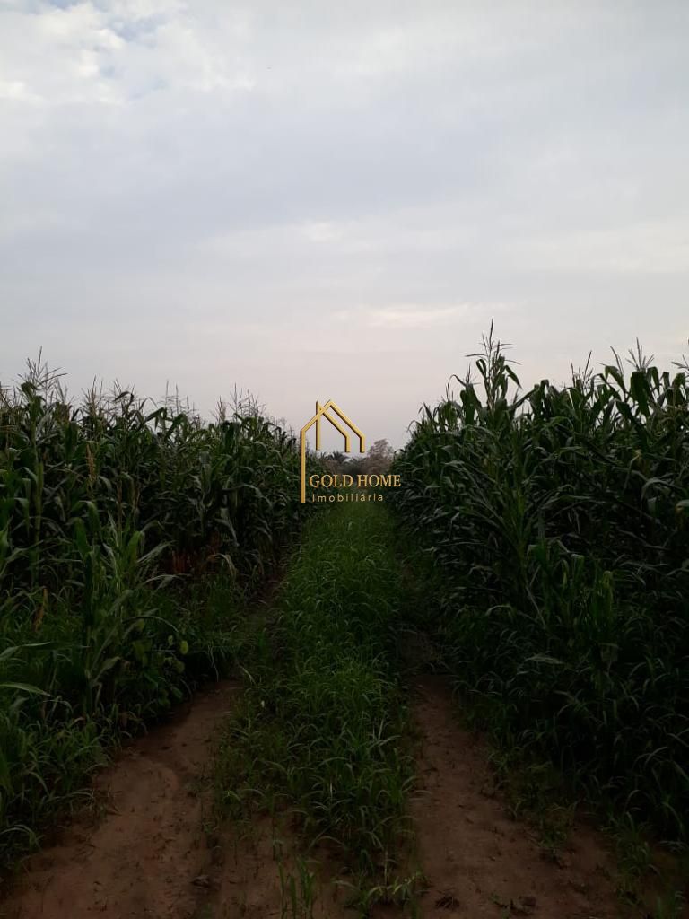 Sítio, 2 quartos, 10 hectares - Foto 28