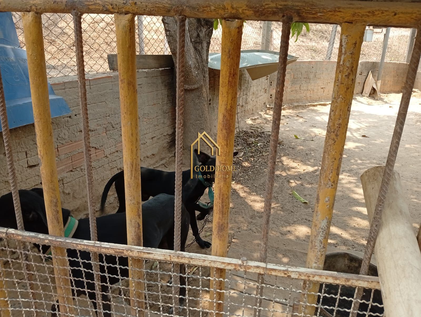 Chácara, 4 quartos, 5000 m² - Foto 29