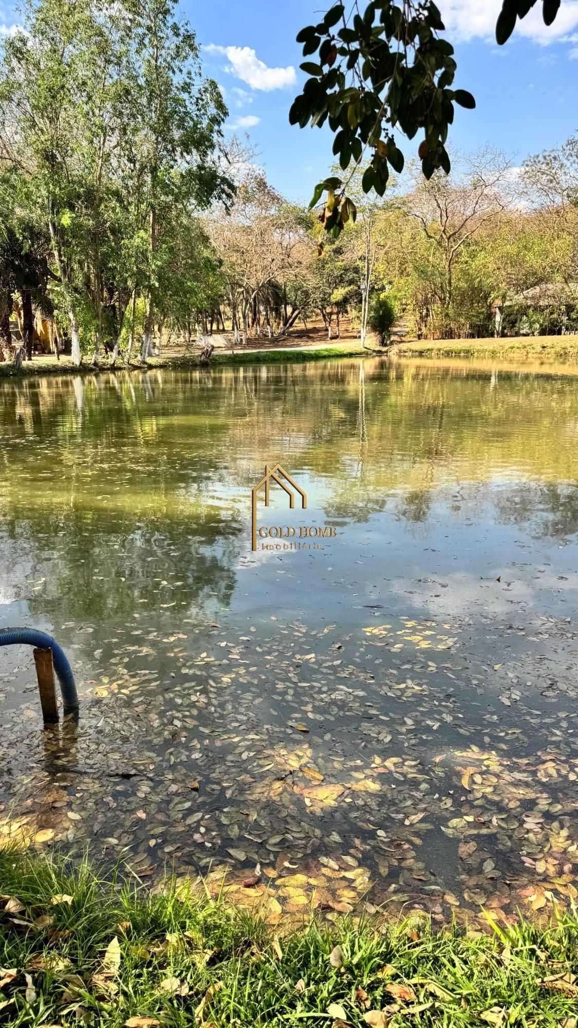 Hotel, 9 quartos, 350 m² - Foto 10