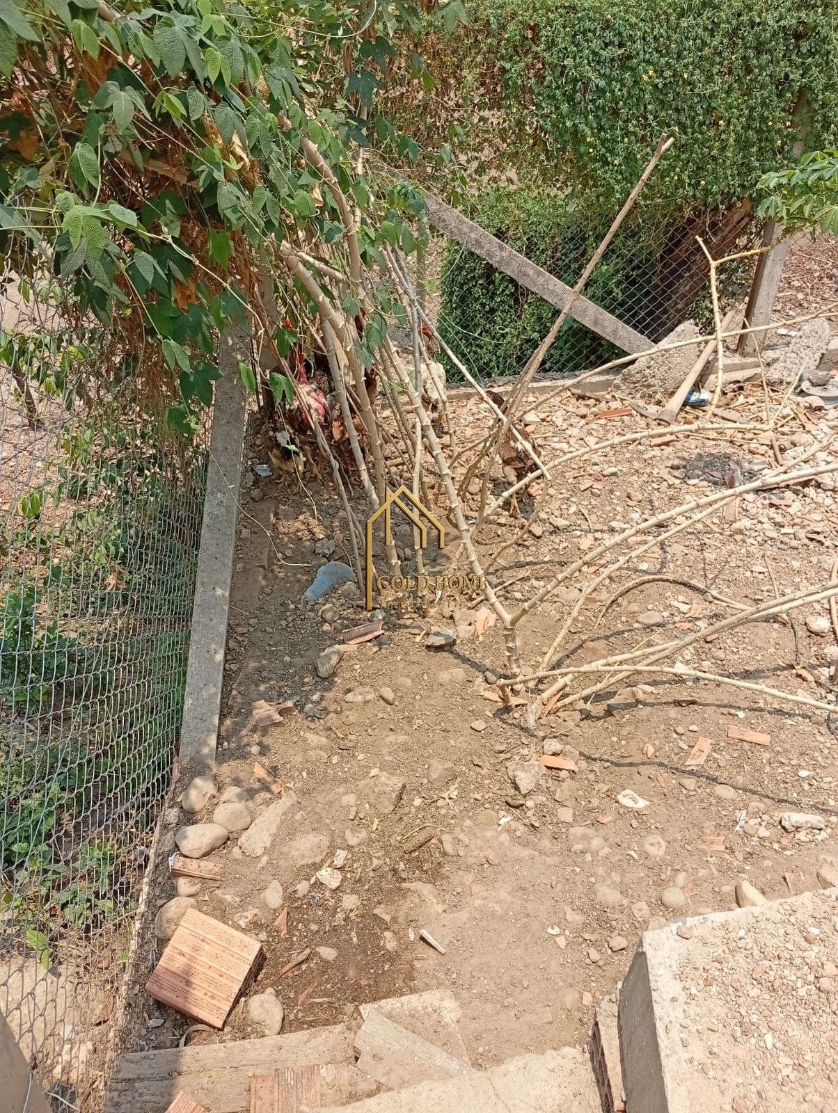 Chácara, 4 quartos, 5000 m² - Foto 41