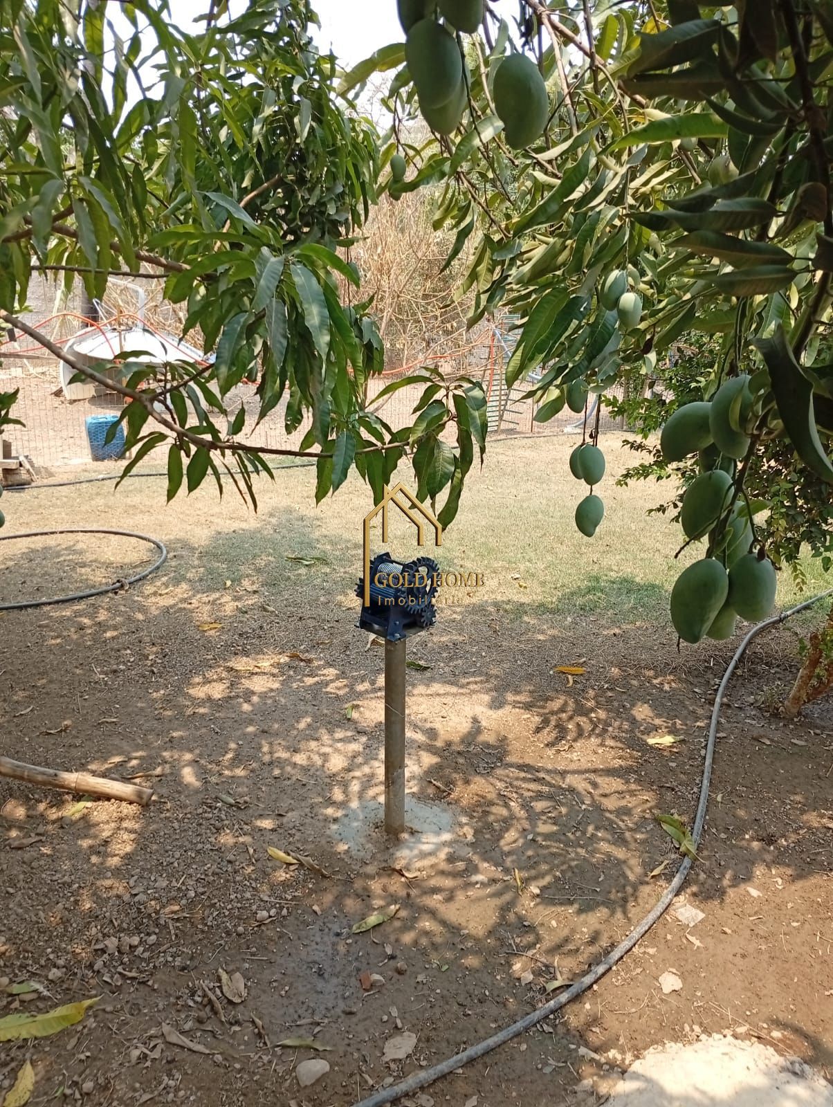 Chácara, 4 quartos, 5000 m² - Foto 12