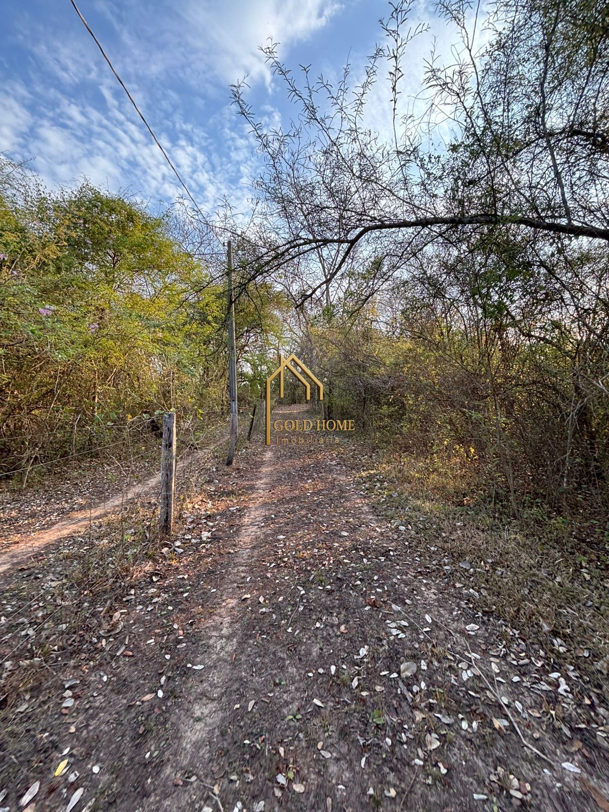 Chácara, 4 quartos, 2 hectares - Foto 6