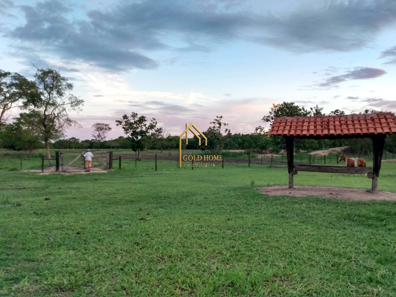 Fazenda, 100 hectares - Foto 10