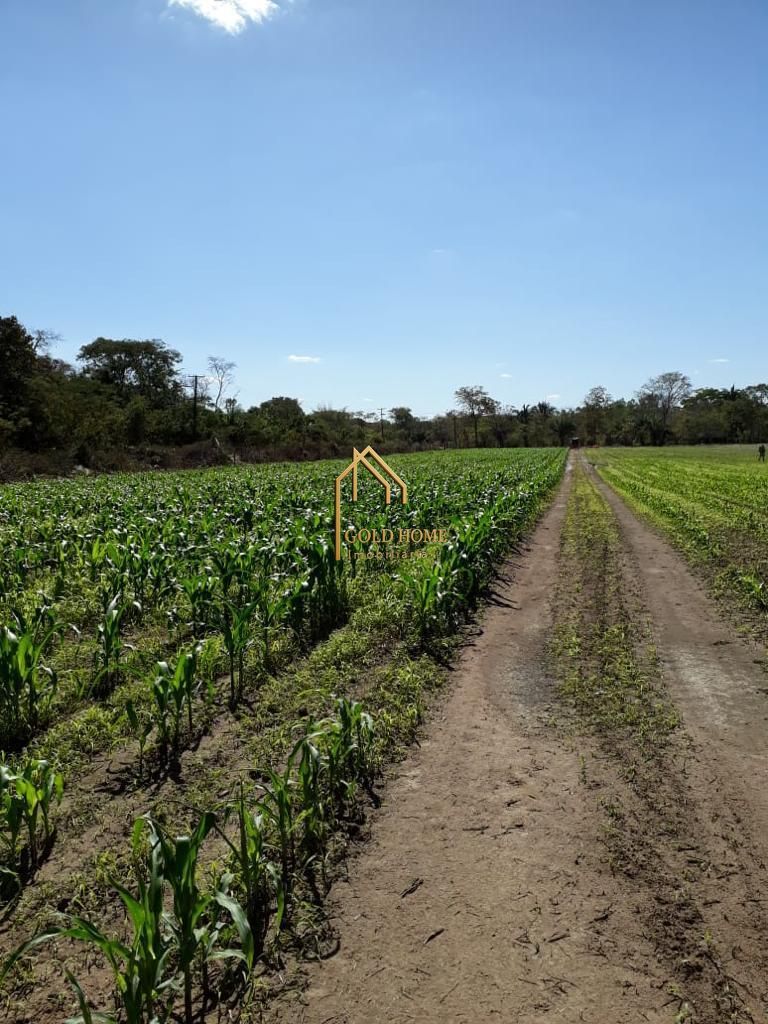 Sítio, 2 quartos, 10 hectares - Foto 31