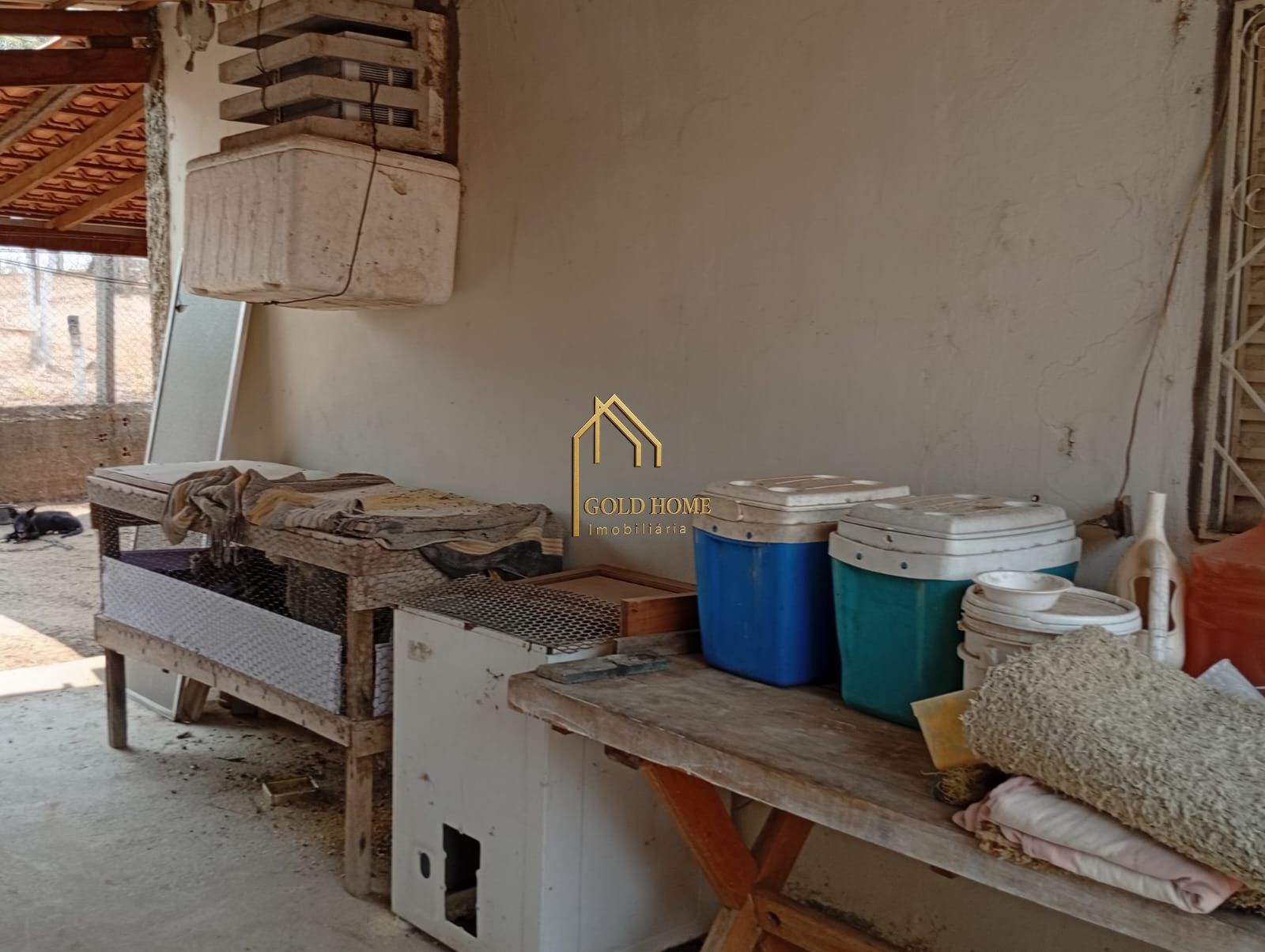 Chácara, 4 quartos, 5000 m² - Foto 20