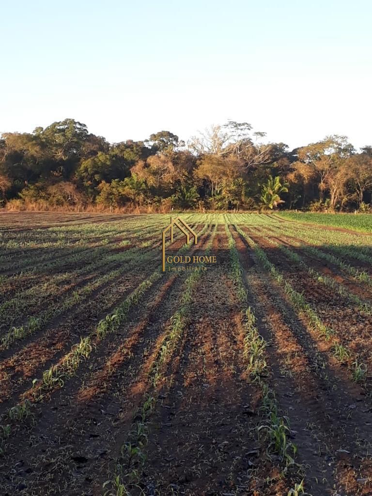Sítio, 2 quartos, 10 hectares - Foto 40
