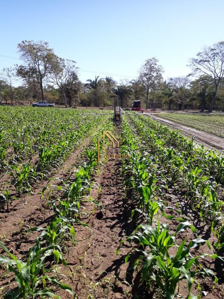 Sítio, 2 quartos, 10 hectares - Foto 37