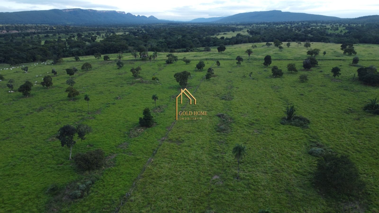 Fazenda-Sítio-Chácara, 113 hectares - Foto 4