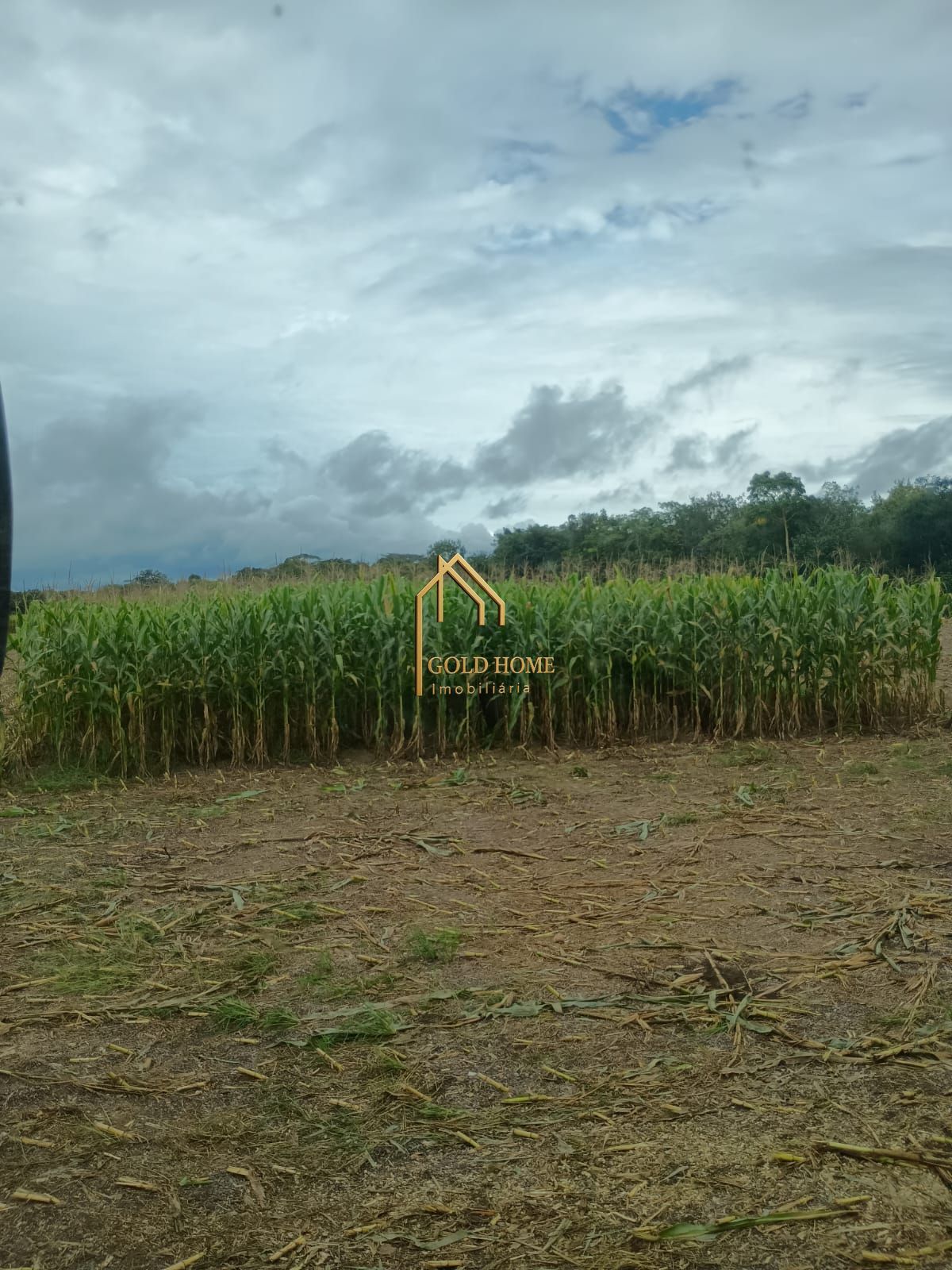 Fazenda, 100 hectares - Foto 2