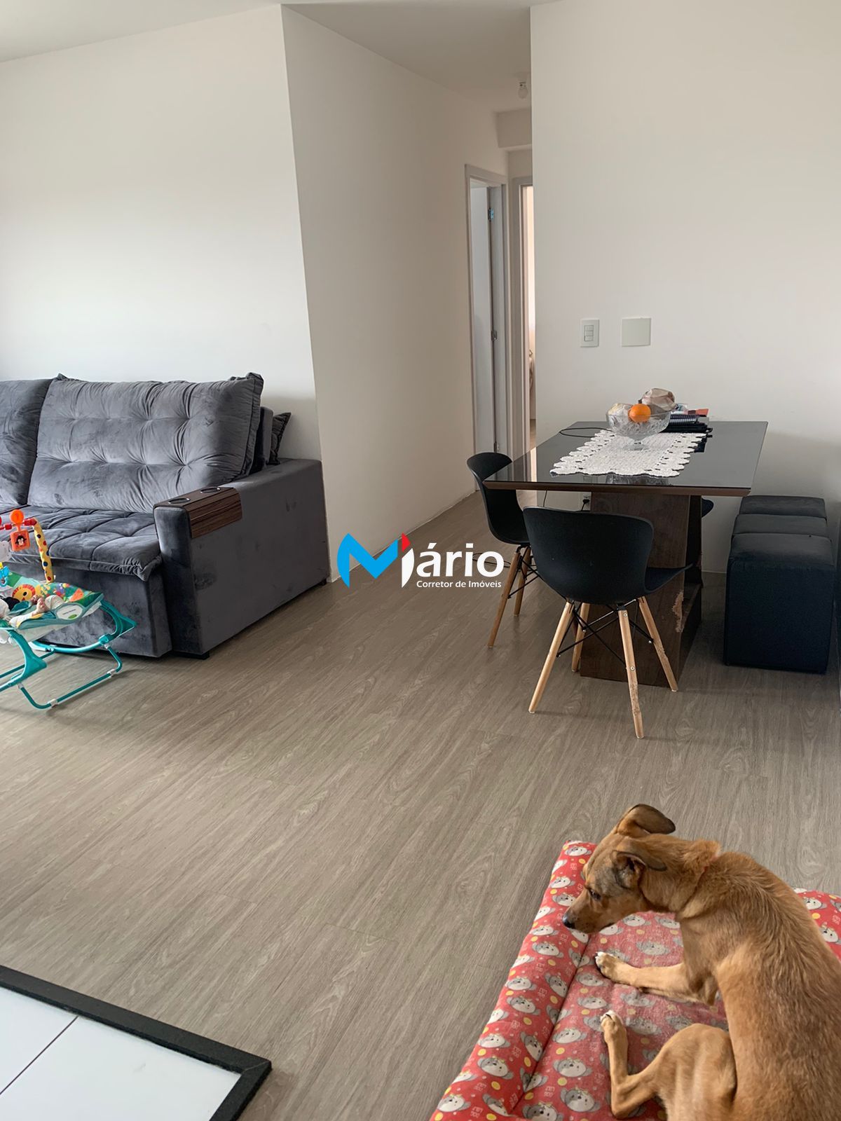 Apartamento à venda com 2 quartos, 55m² - Foto 17