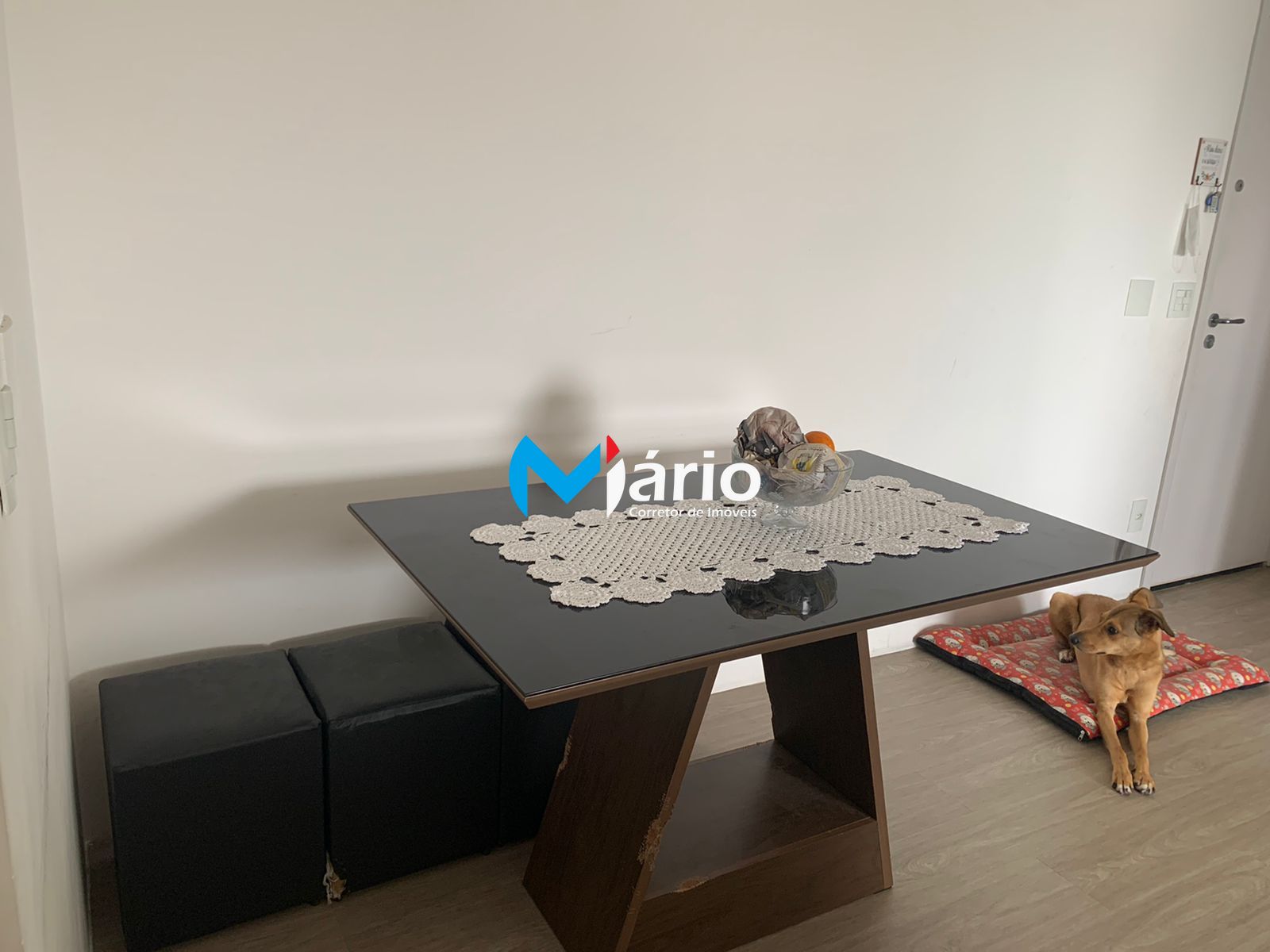 Apartamento à venda com 2 quartos, 55m² - Foto 20