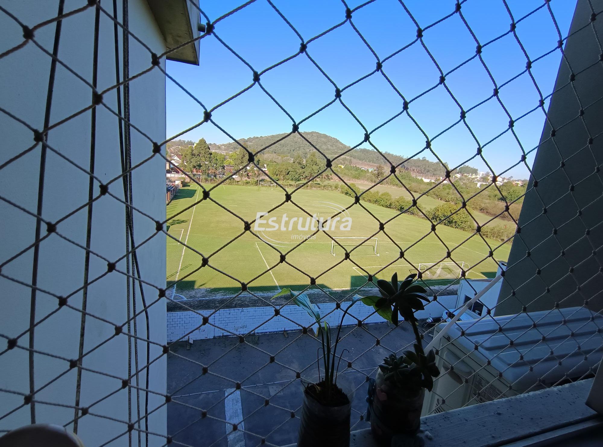 img266195911
