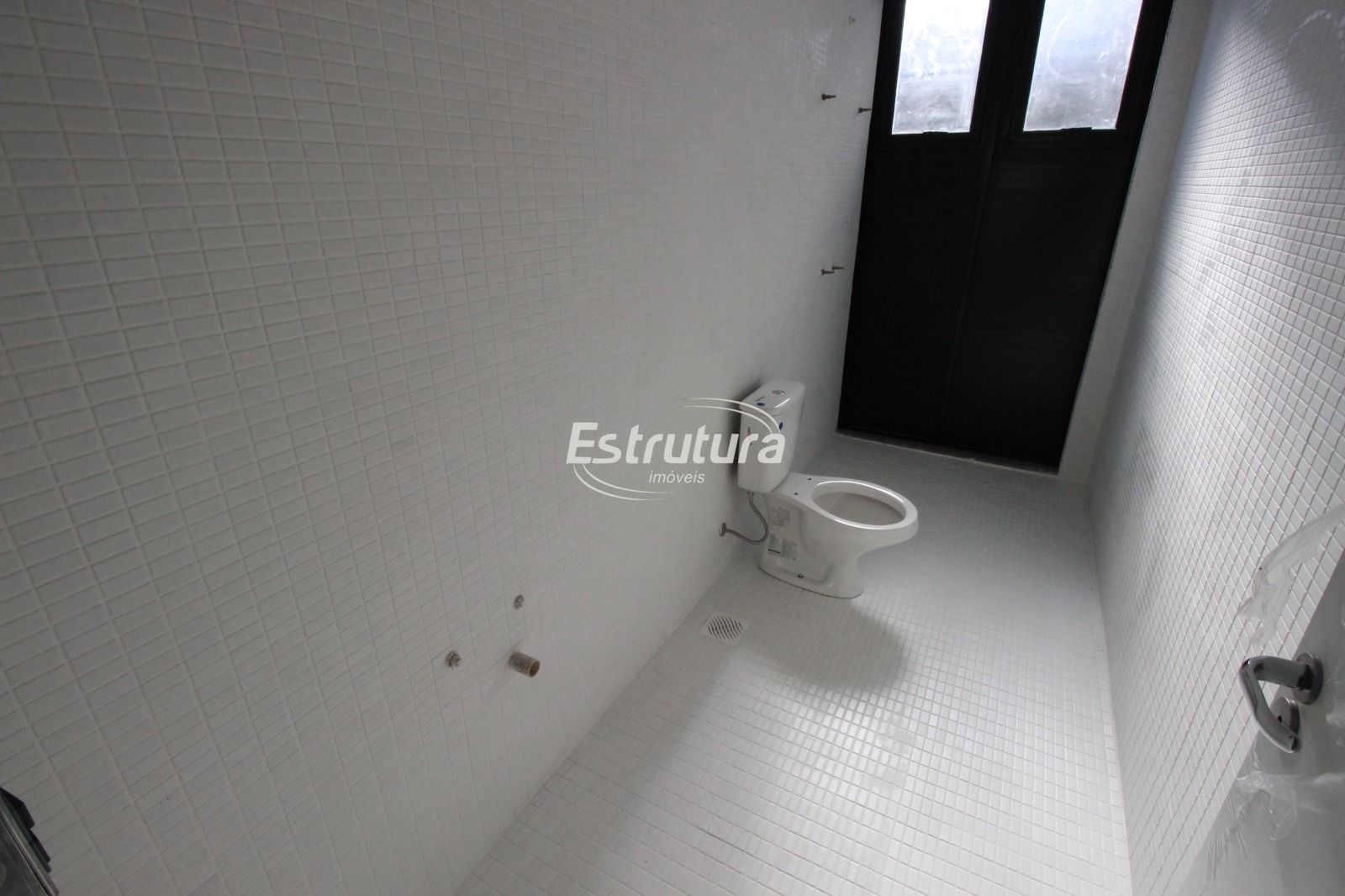 img31952348