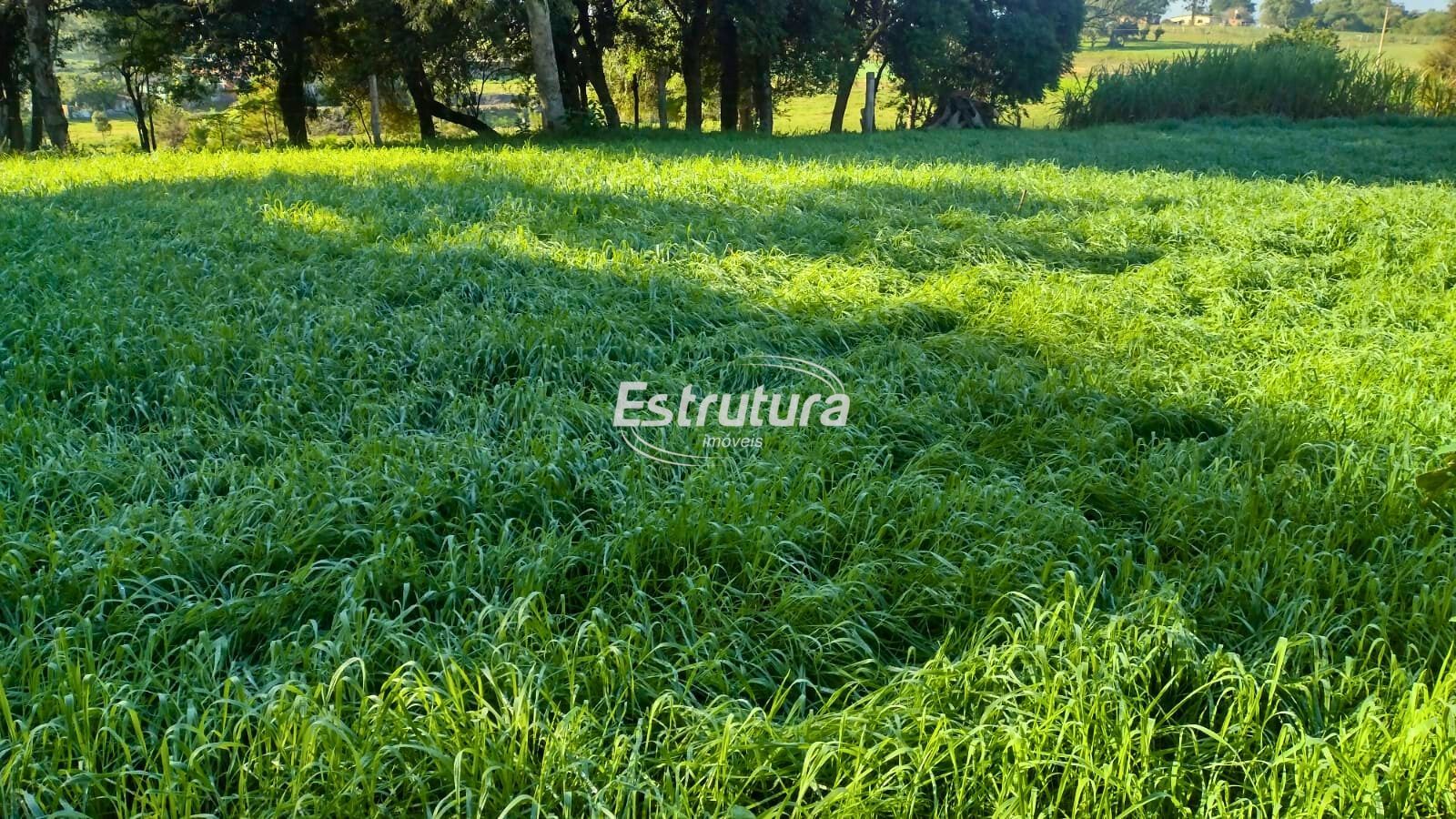 img29927127