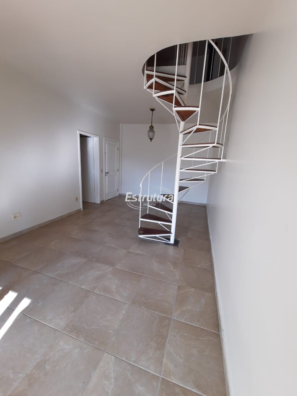 img13216313
