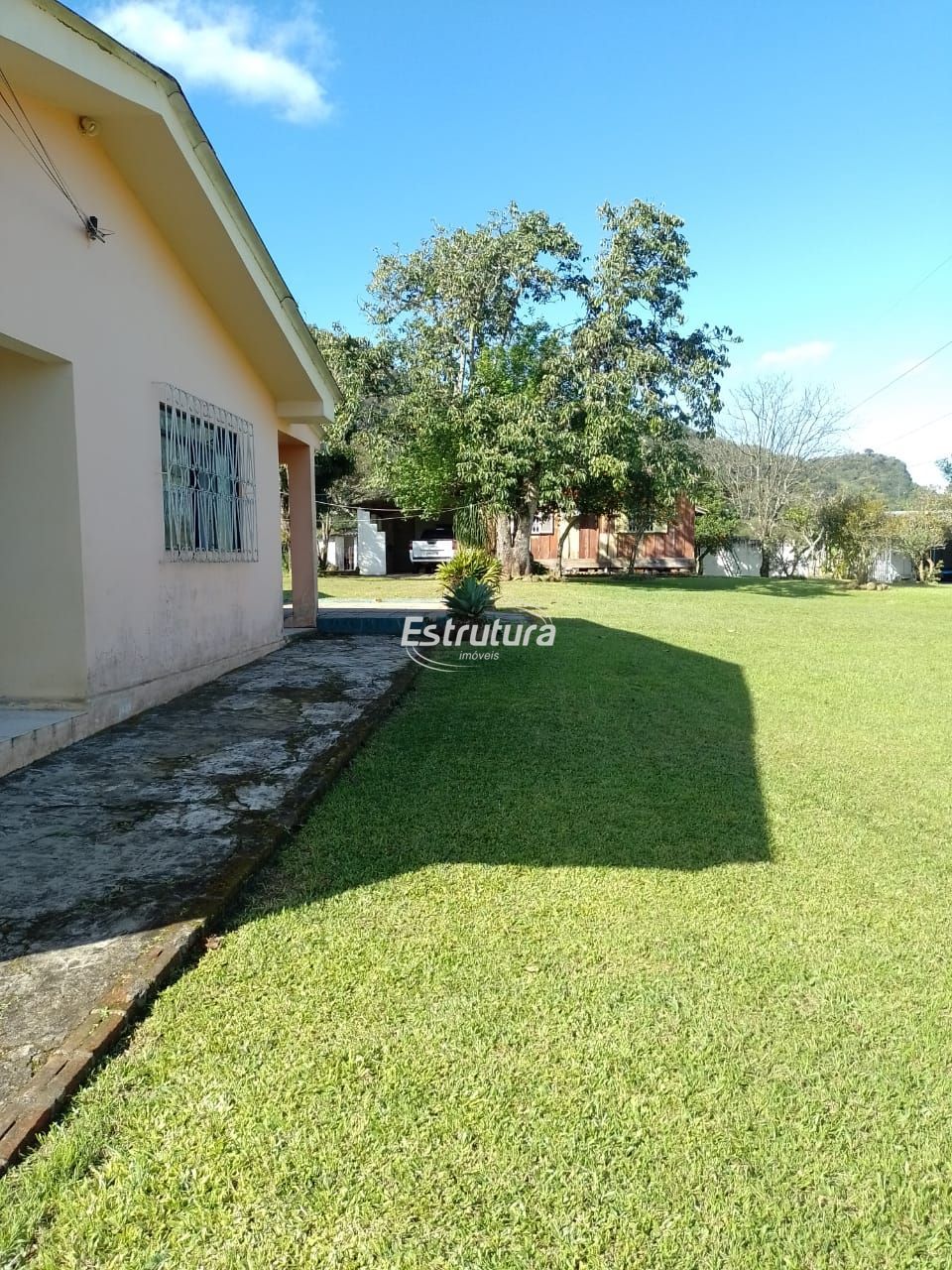 img22936366