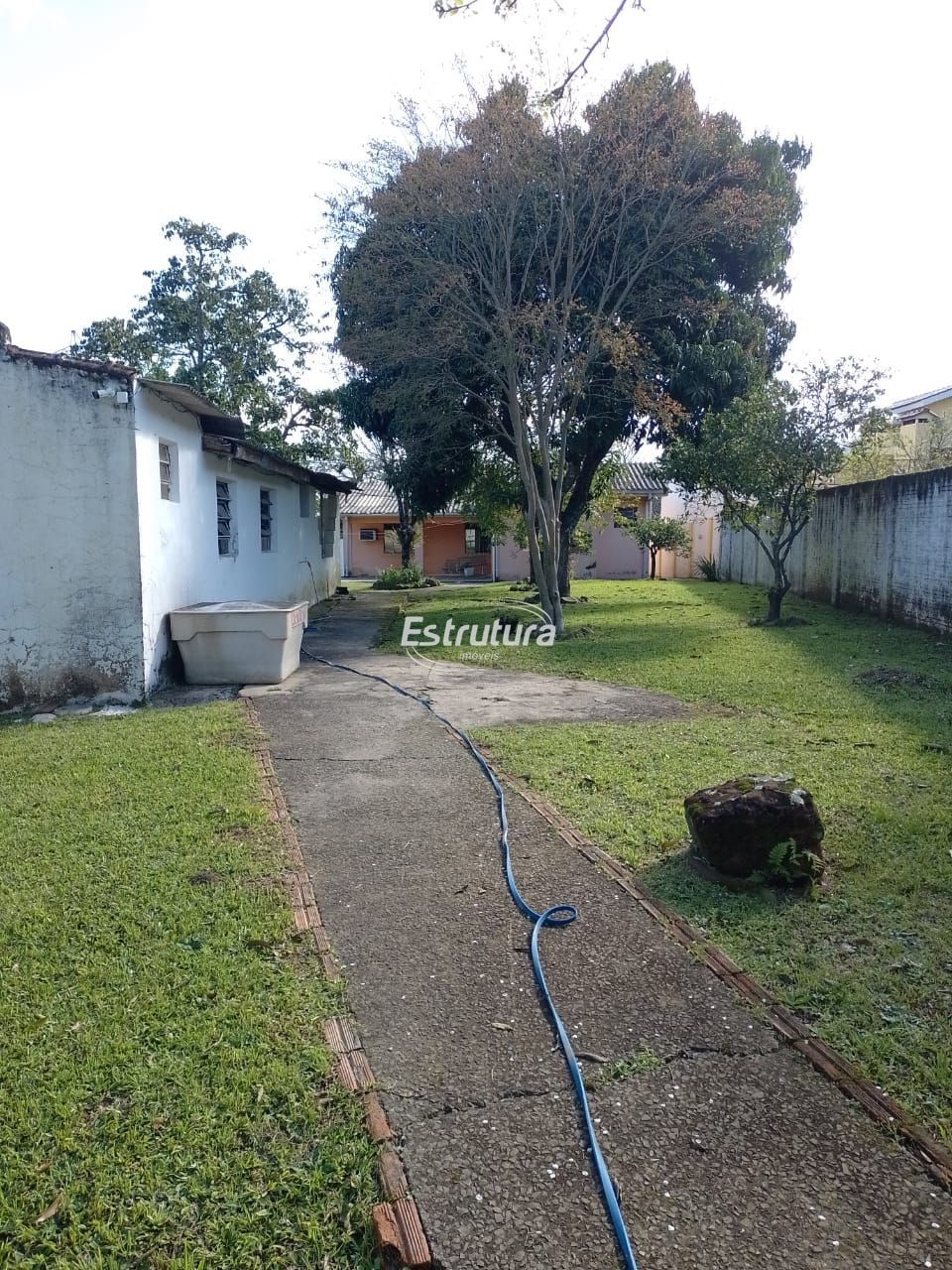 img22936374