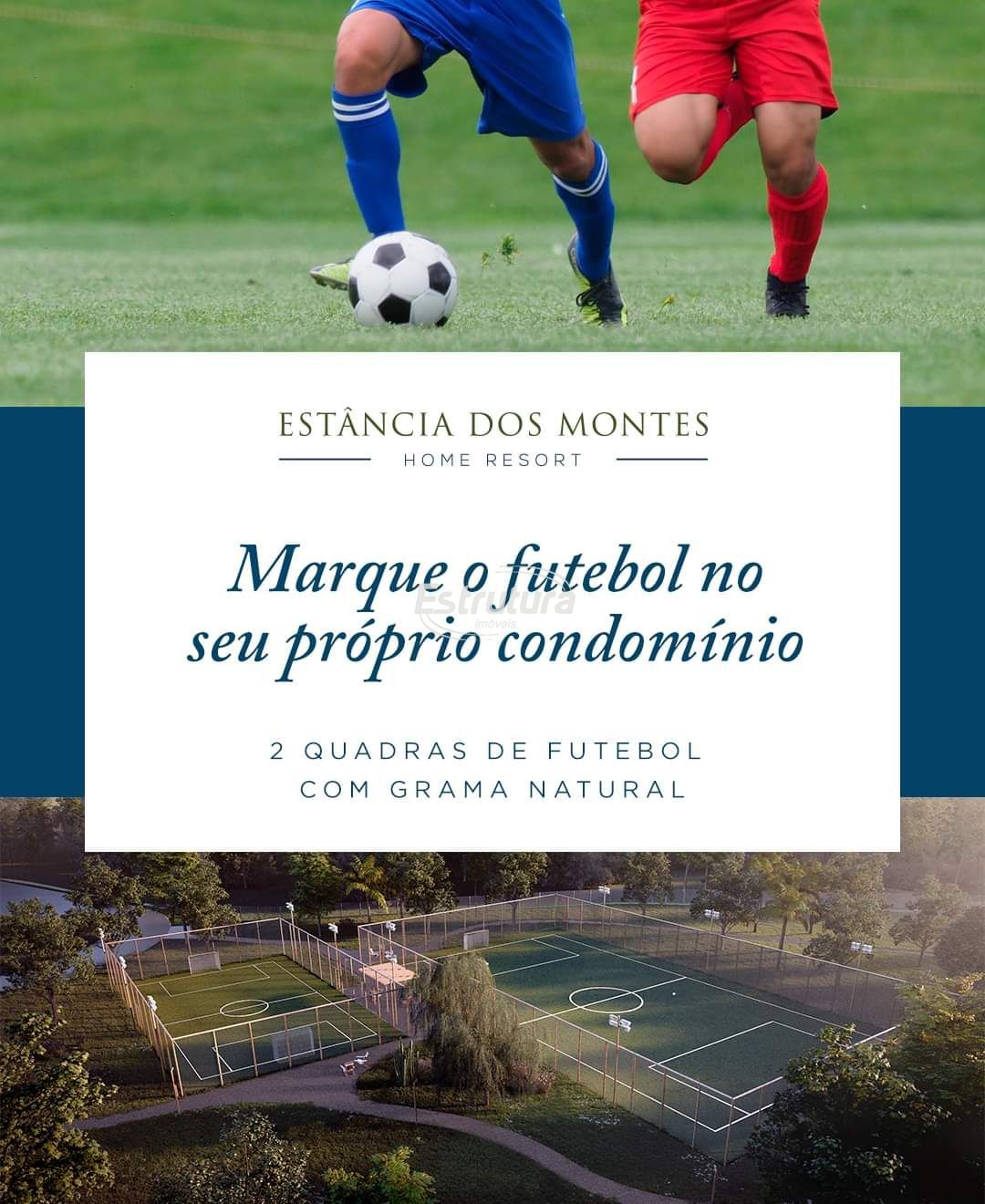 img24638549