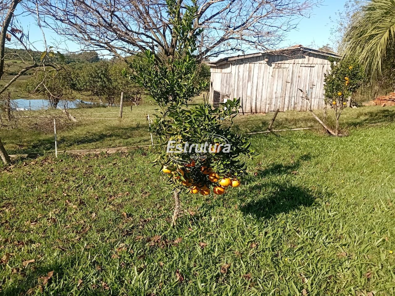 img220475083
