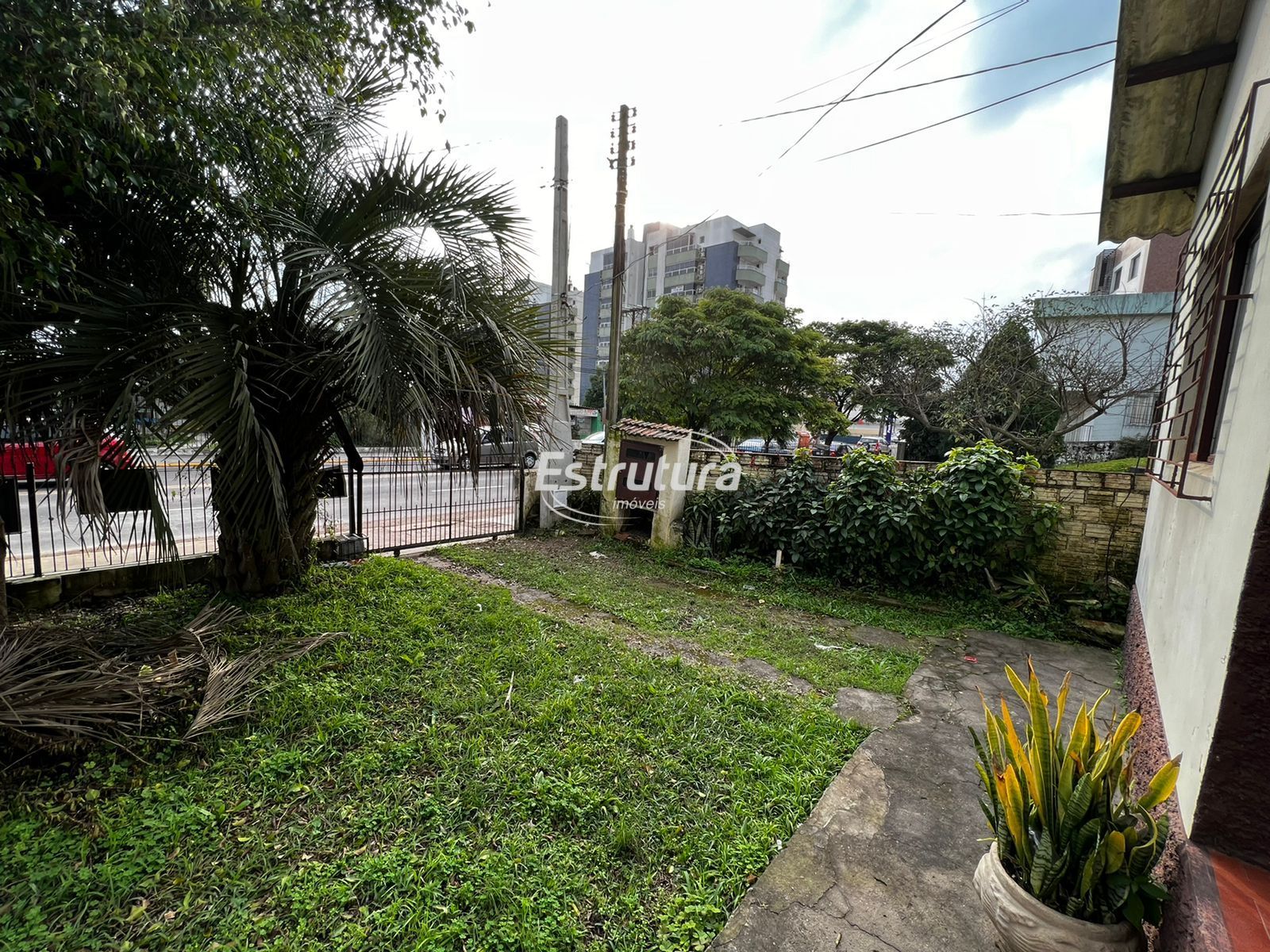 img21279512