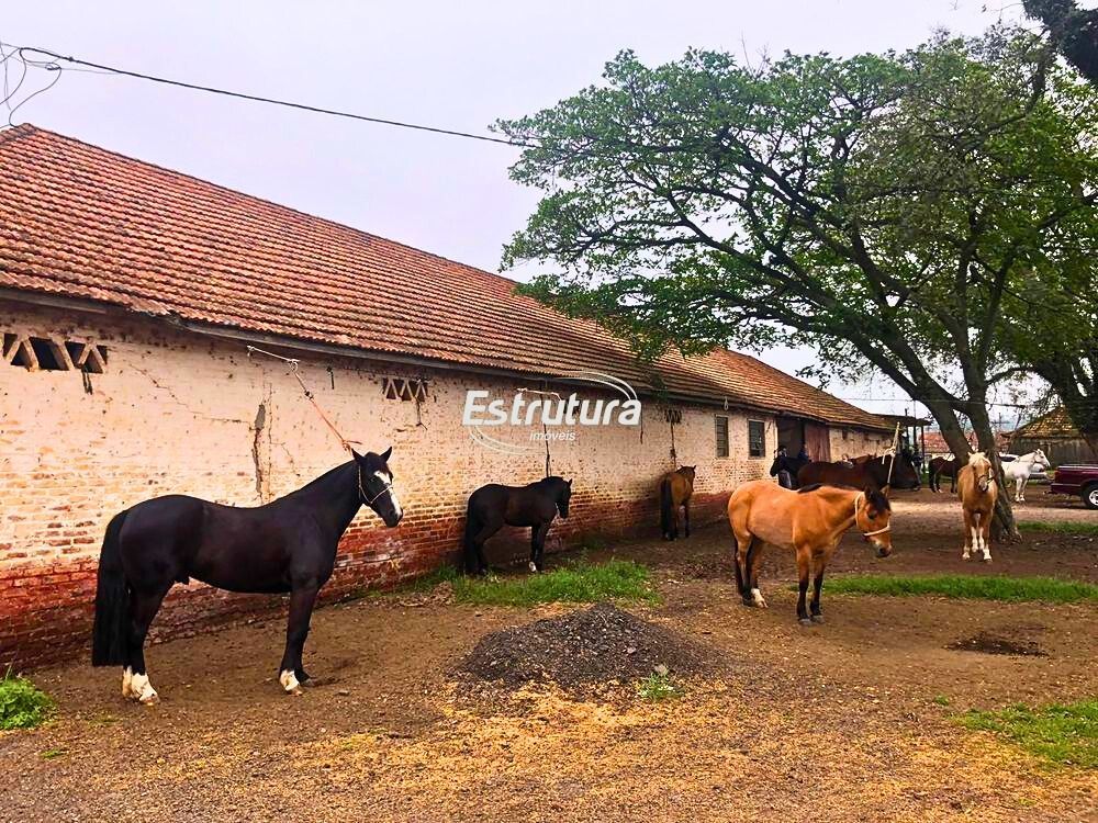 Fazenda/stio/chcara/haras  venda  no Pinheiro Machado - Santa Maria, RS. Imveis