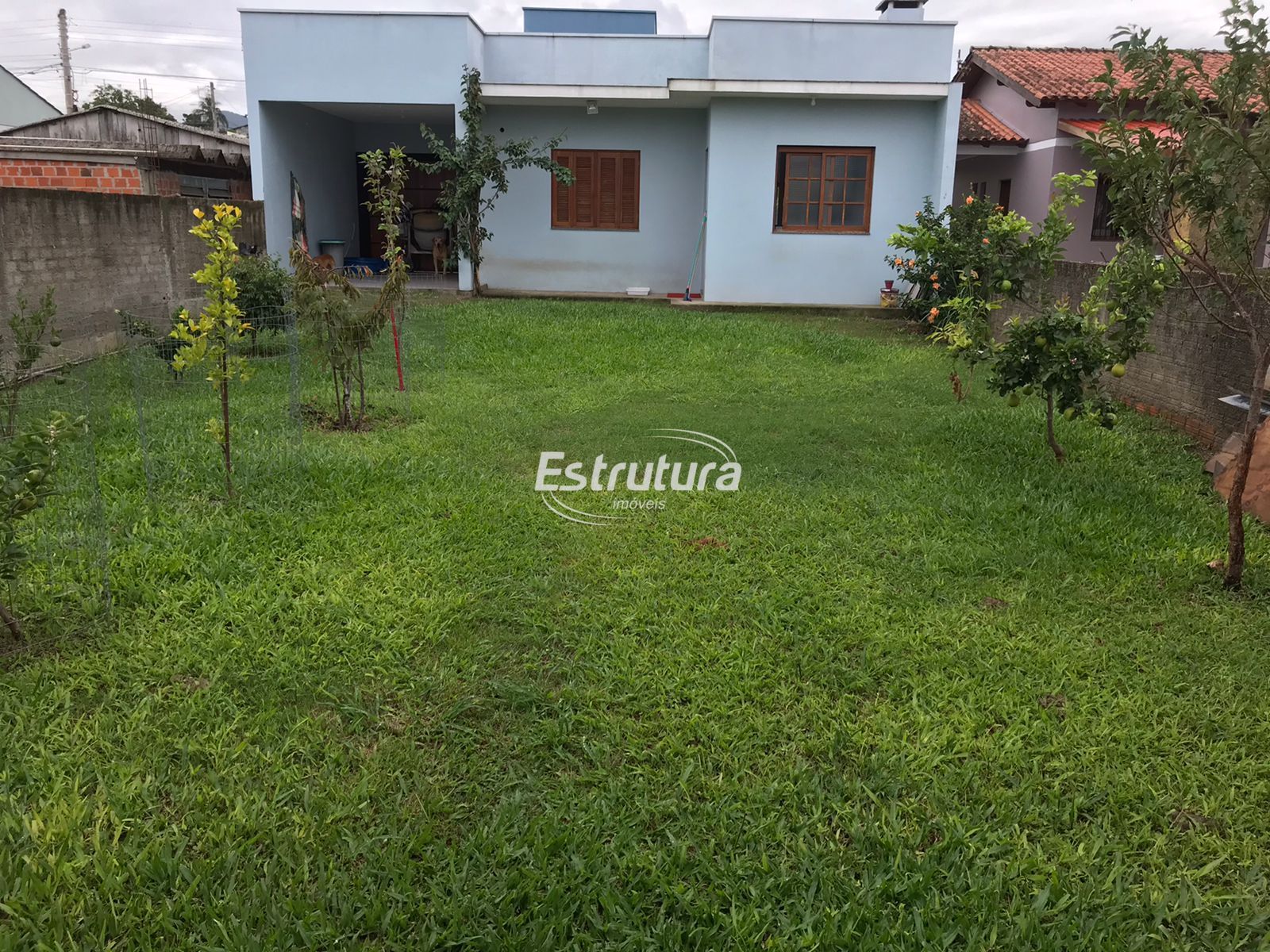 img19305051