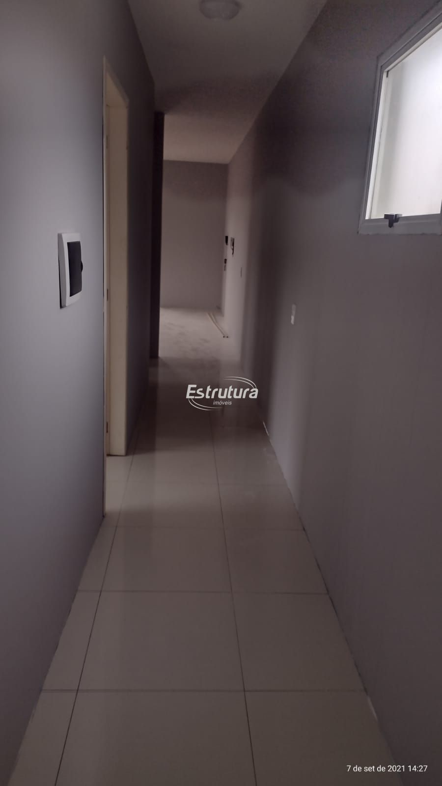 img15241774