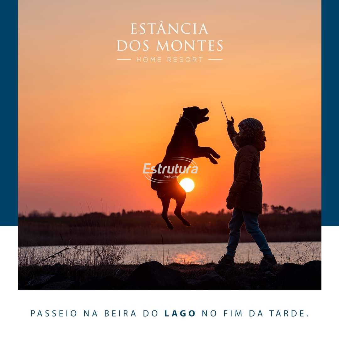 img24638560