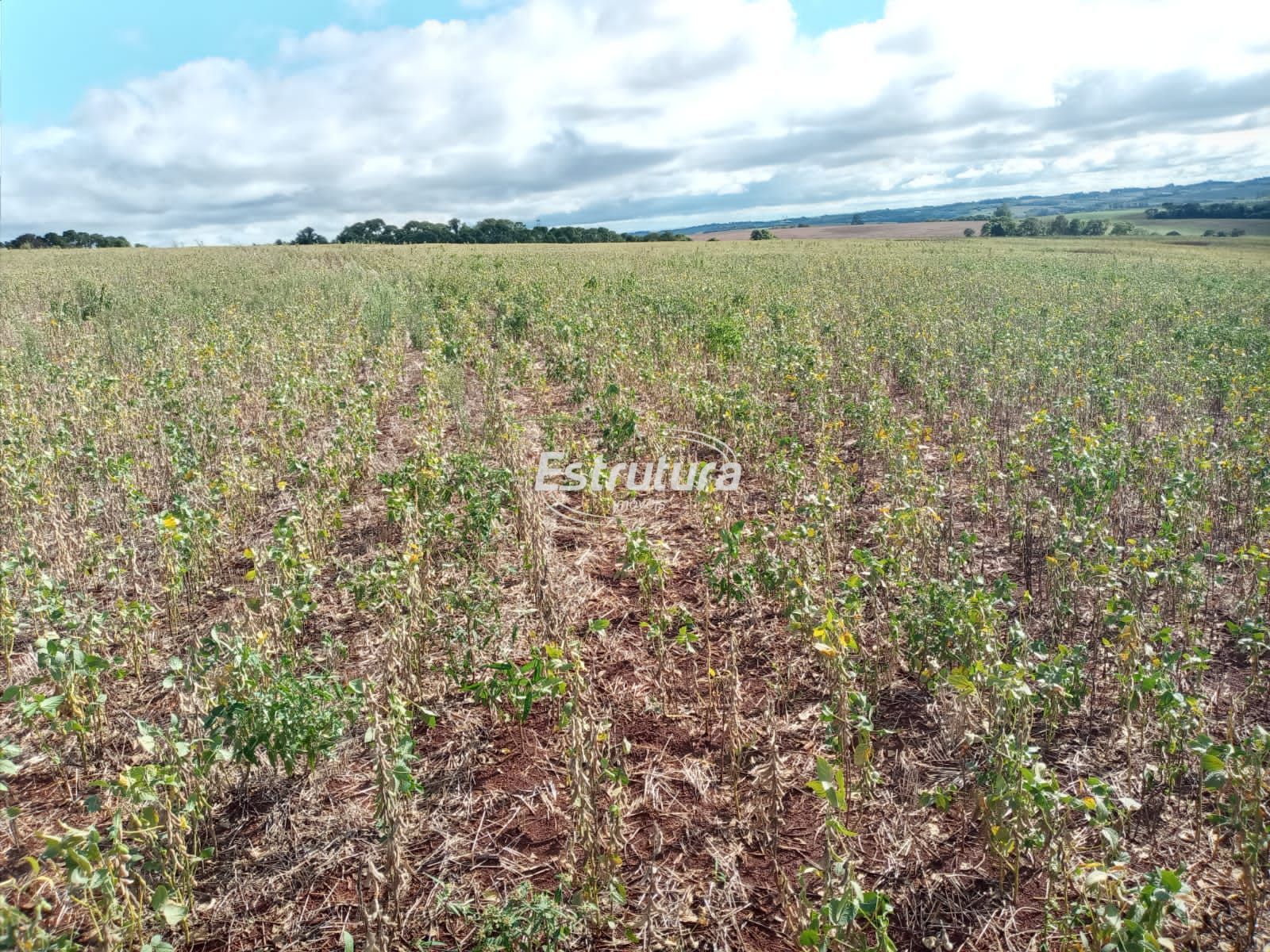 Terreno comercial  venda  no rea Rural de Santo ngelo - Santo ngelo, RS. Imveis