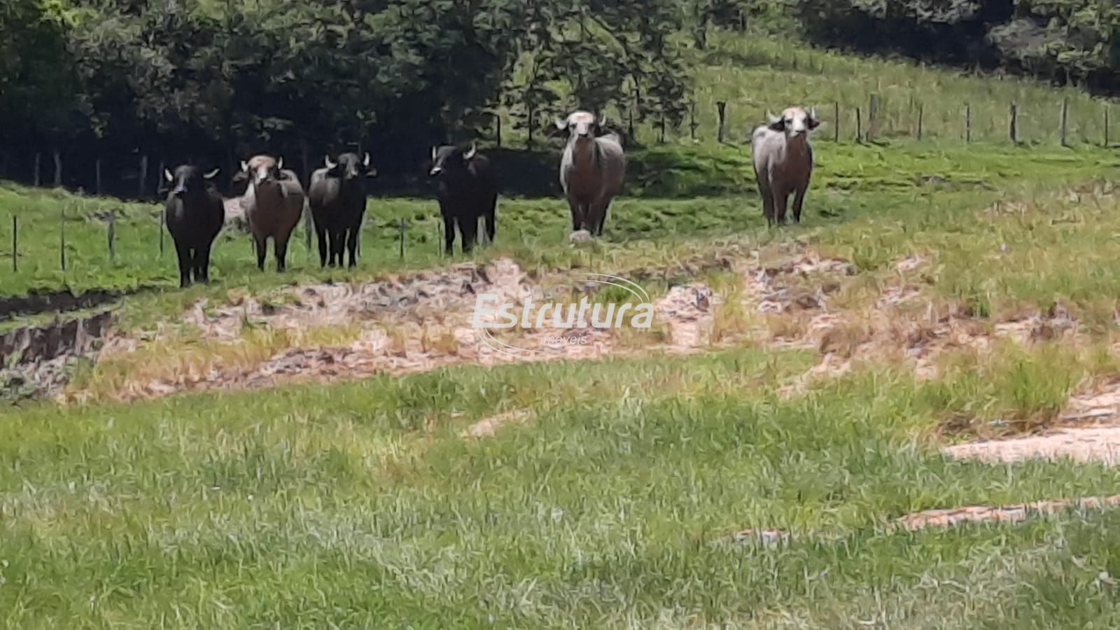 Área rural a venda em Santa Maria