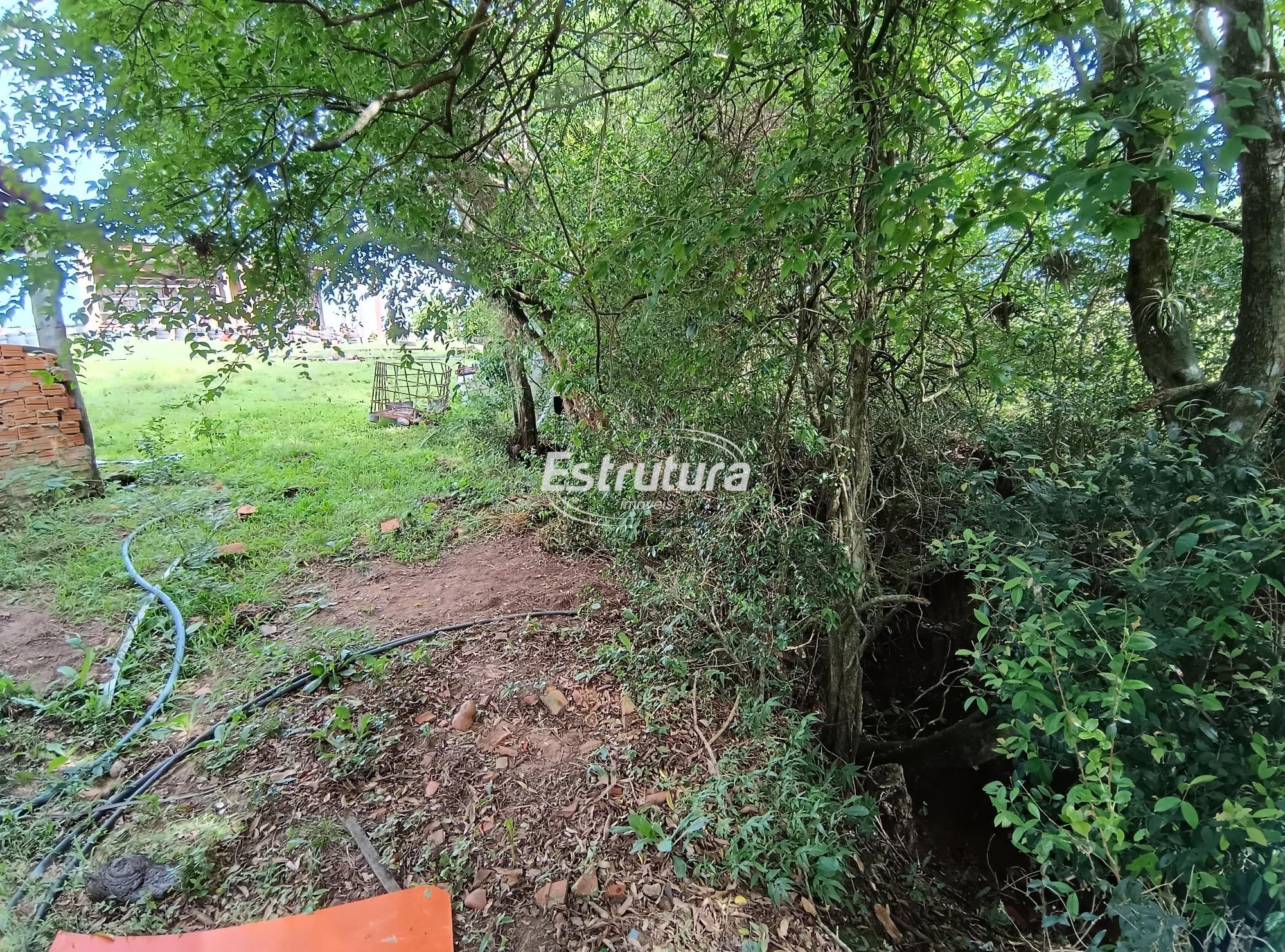 img65308165